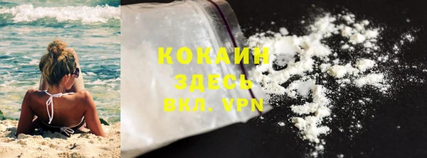 PSILOCYBIN Богданович